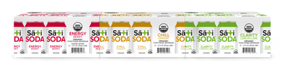 Organic Soda Variety | 12 Pack